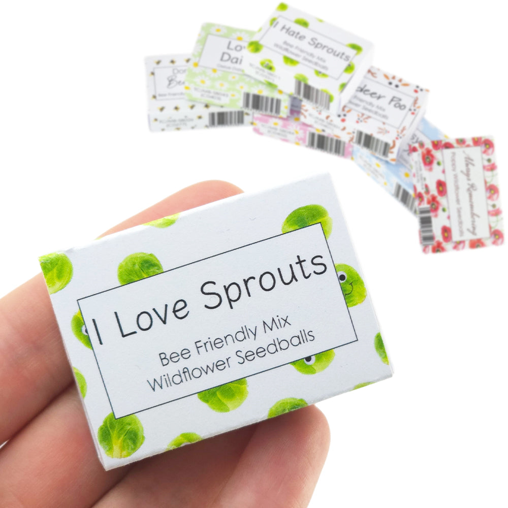 I Love Sprouts | 6 Seedball Matchbox | Bee Mix | Cracker Filler | Little Gift