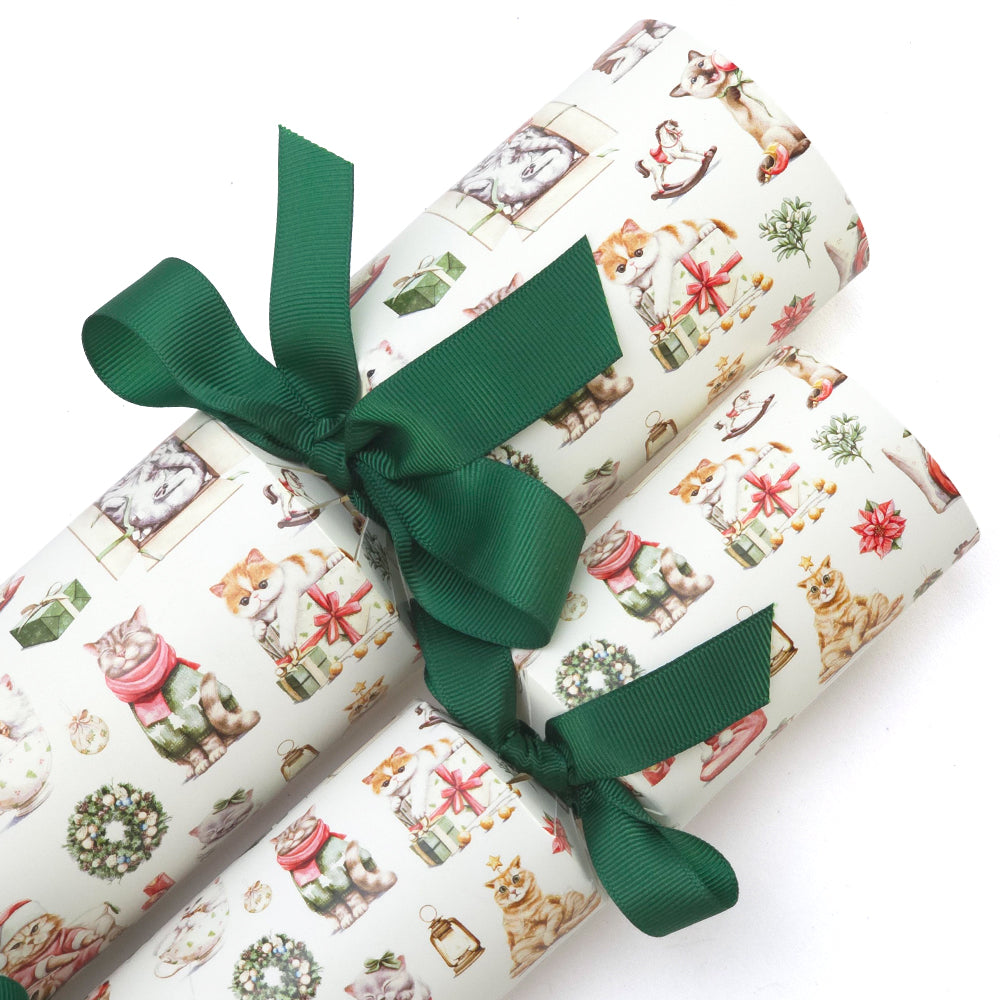 Cute Christmas Cats | Cracker Making Craft Kit | Make & Fill Your Own