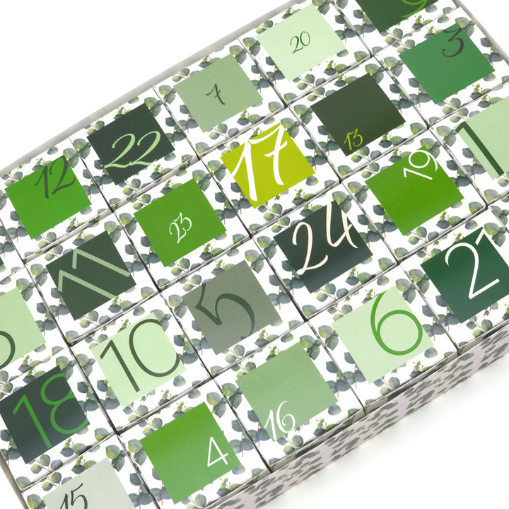 Advent Calendar Making Kit | 24 Cube Boxes & Outer Box | Watercolour Eucalyptus