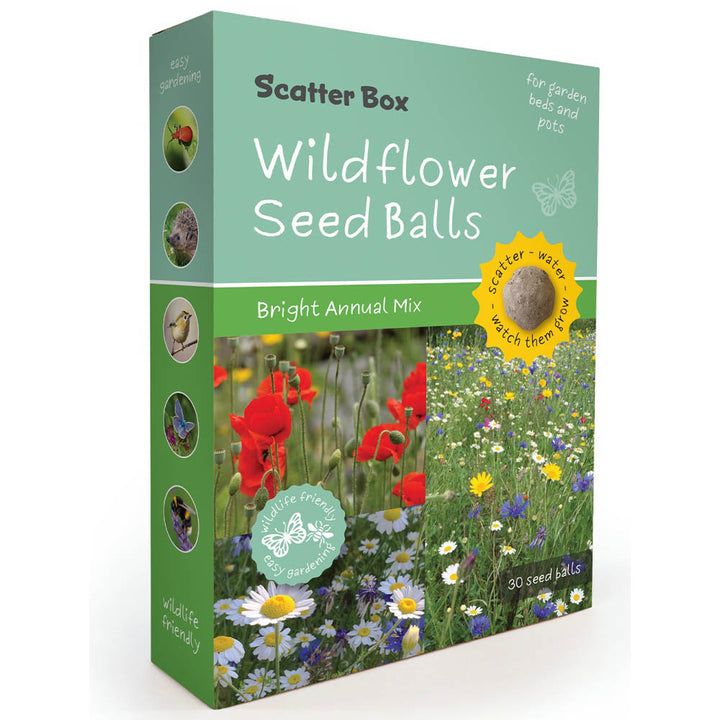 Wildflower Seedballs | Scatter Box of 30 | Bright Annual Mix | Little Gift