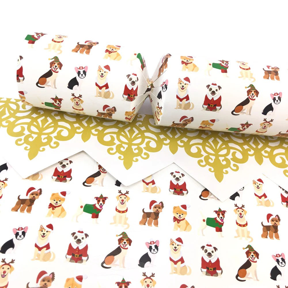 Christmas Dogs | SNAPLESS Christmas Cracker Making Craft Kit | Makes 6