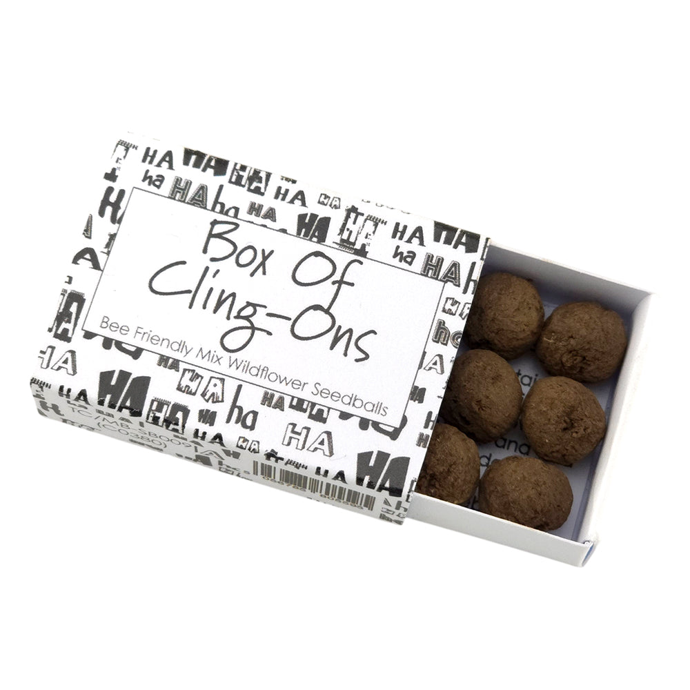 Box of Cling-Ons | 6 Seedball Matchbox | Bee Mix | Cracker Filler | Little Gift
