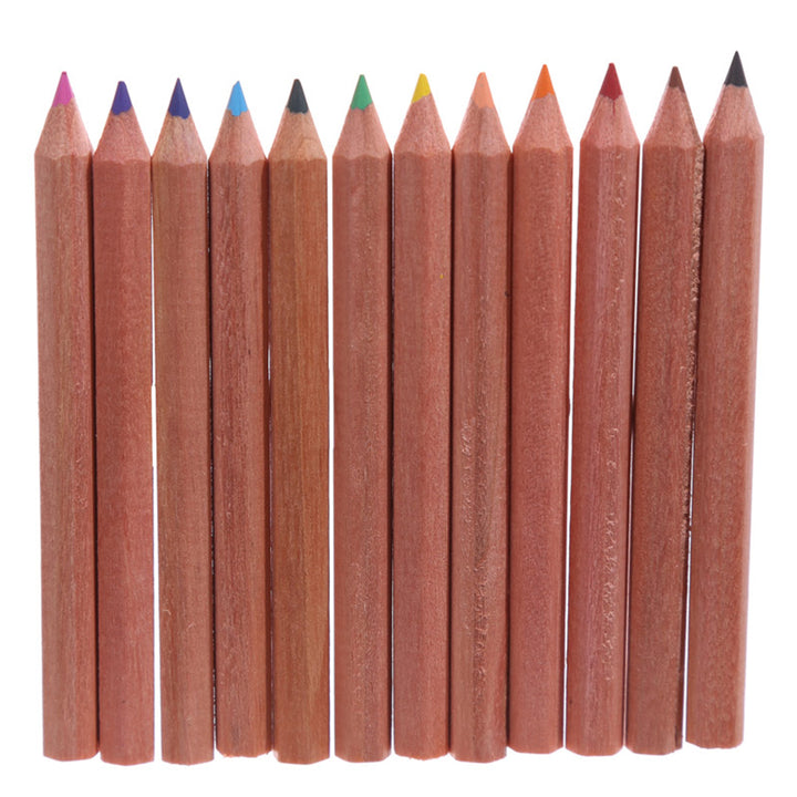 Fun in the Wild | Tube of Pencil Crayons for Kids | Little Gift | Cracker Filler