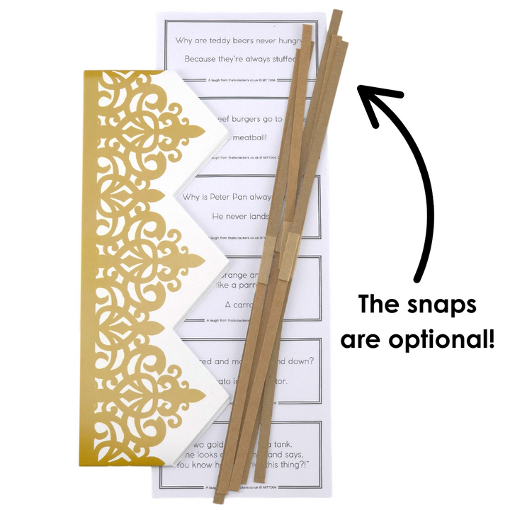 Watercolour Berries | SNAPLESS Christmas Cracker Making Craft Kit | Makes 6