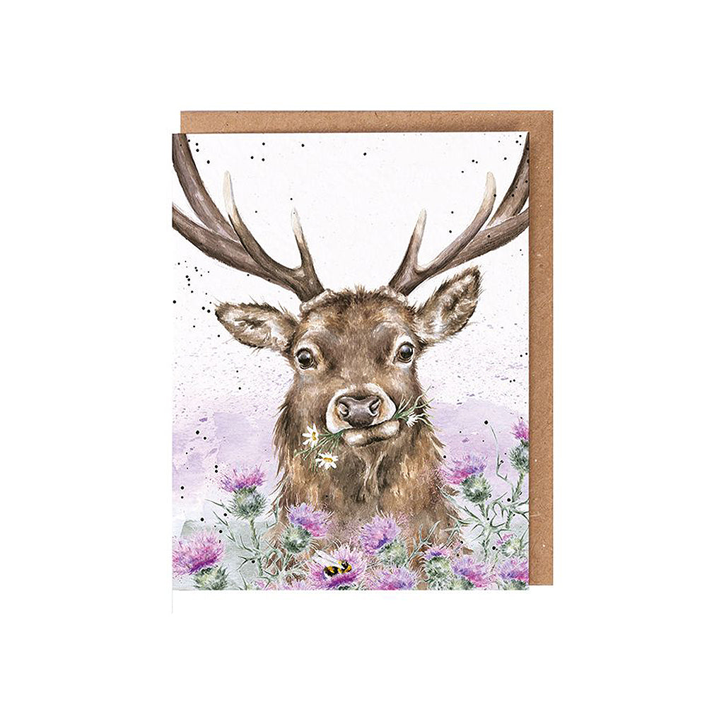 Stag and Thistle | Blank Card & Wild Flower Seeds | 10.5x15cm | Wrendale Designs