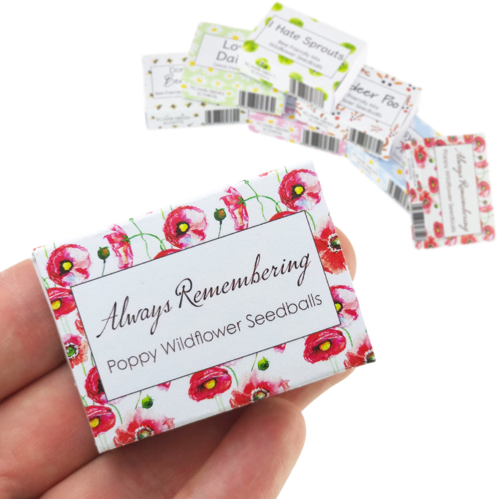 Always Remembering | Poppies | 6 Seedball Box | Cracker Filler | Little Gift