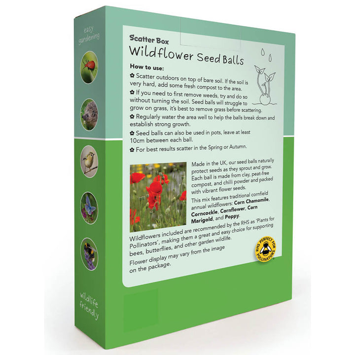 Wildflower Seedballs | Scatter Box of 30 | Bright Annual Mix | Little Gift