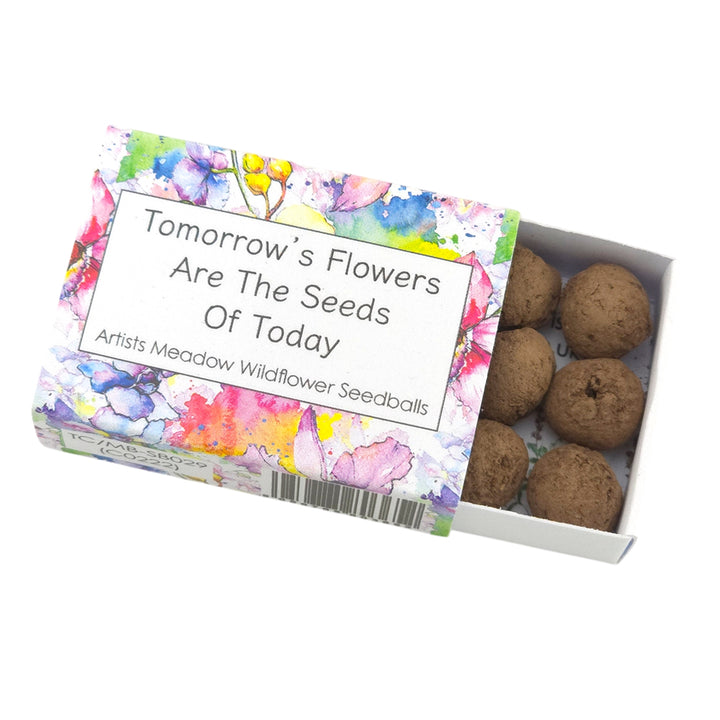 Tomorrows Flowers | Artist Mix | 6 Seedball Box | Cracker Filler | Little Gift