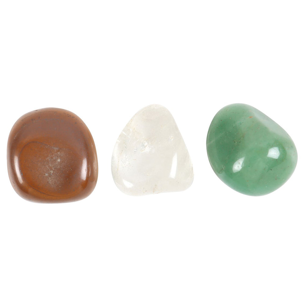 Wealth & Abundance | Healing Crystal Set & Bag | Little Gift | Cracker Filler