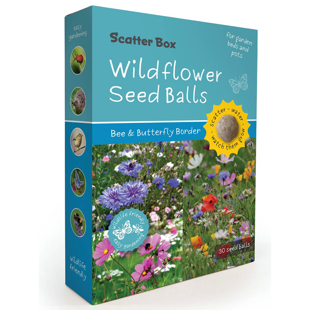 Wildflower Seedballs | Scatter Box of 30 | Bee & Butterfly Border | Little Gift