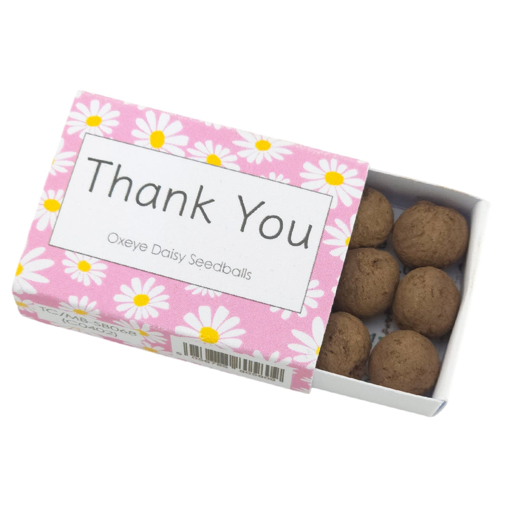 Thank You | 6 Seedball Matchbox | Oxeye Daisies | Cracker Filler | Little Gift
