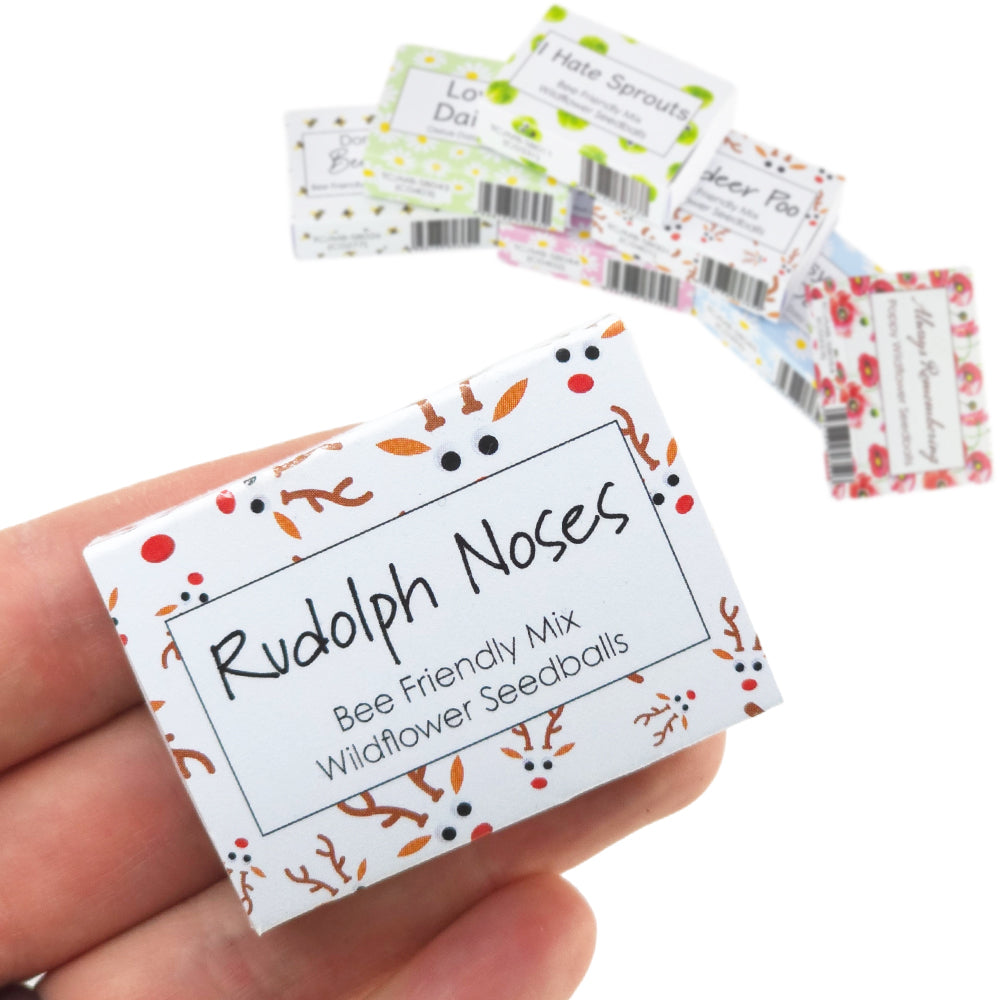 Rudolph Noses | 6 Seedball Matchbox | Bee Mix | Cracker Filler | Little Gift