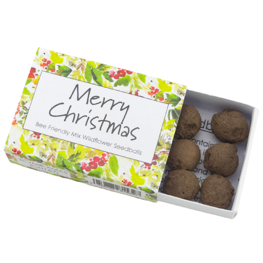 Watercolour Berries | Merry Christmas | Bee Mix 6 Seedballs | Cracker Filler