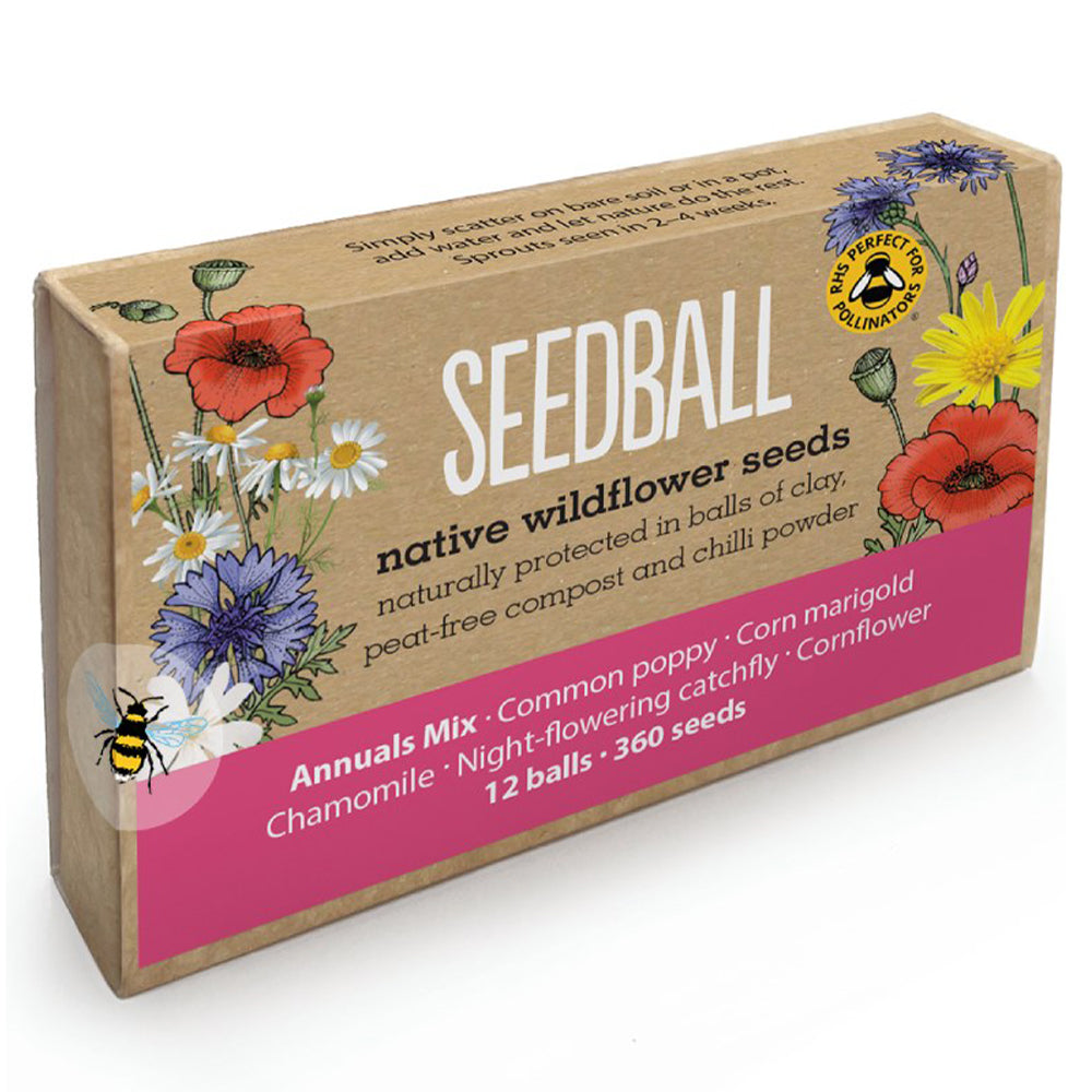wildflower seeds uk free Annuals Mix | 12 Native Wildflower Seedballs | Mini Gift