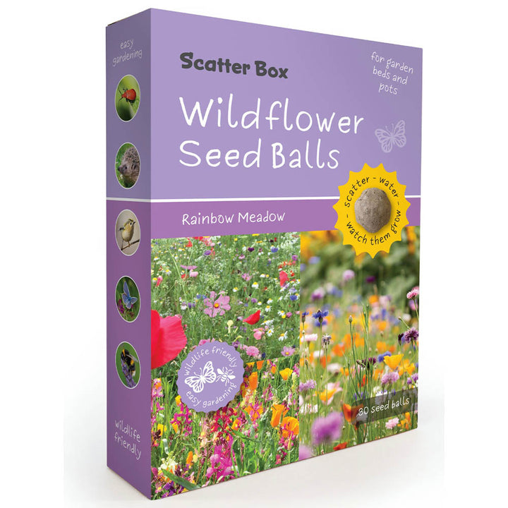 Wildflower Seedballs | Scatter Box of 30 | Bright Annual Mix | Little Gift
