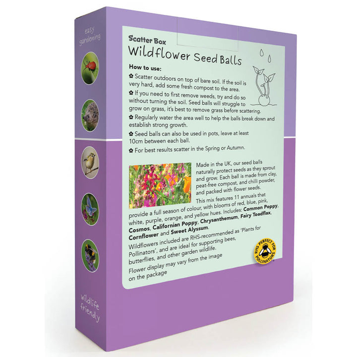 Wildflower Seedballs | Scatter Box of 30 | Bright Annual Mix | Little Gift