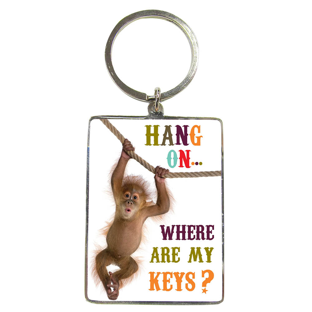 Hang On… Where's My Keys | Metal Keyring | Little Gift | Cracker Filler