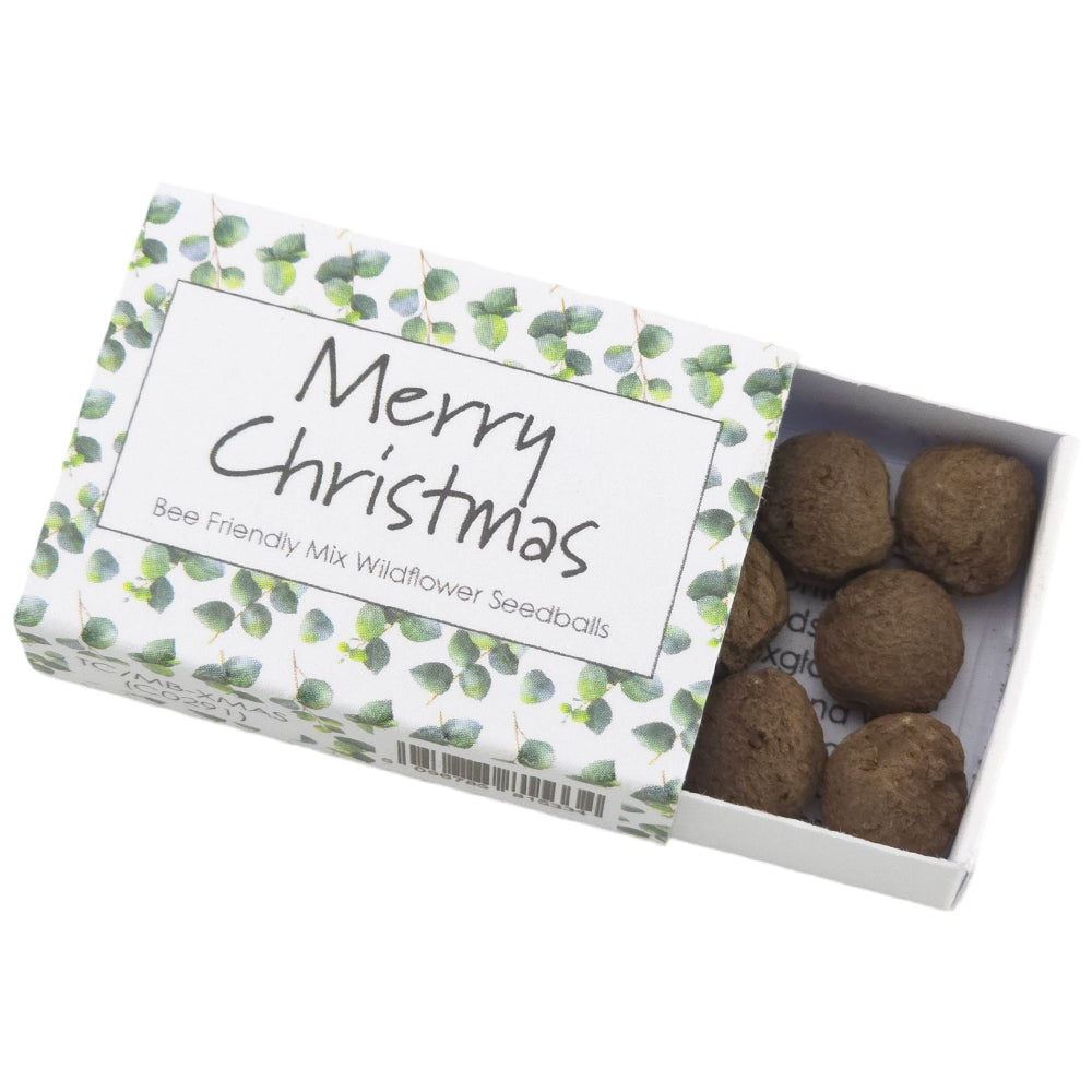 Watercolour Eucalyptus | Merry Christmas | Bee Mix 6 Seedballs | Cracker Filler