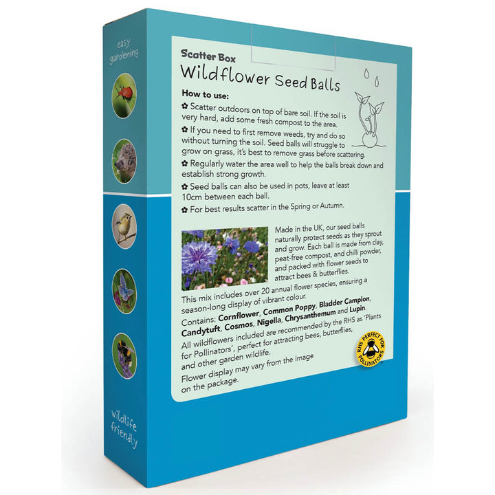 Wildflower Seedballs | Scatter Box of 30 | Bee & Butterfly Border | Little Gift