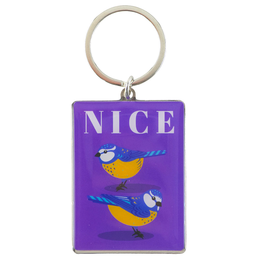 Nice Pair of Bluebirds! | Metal Keyring | Little Gift | Cracker Filler