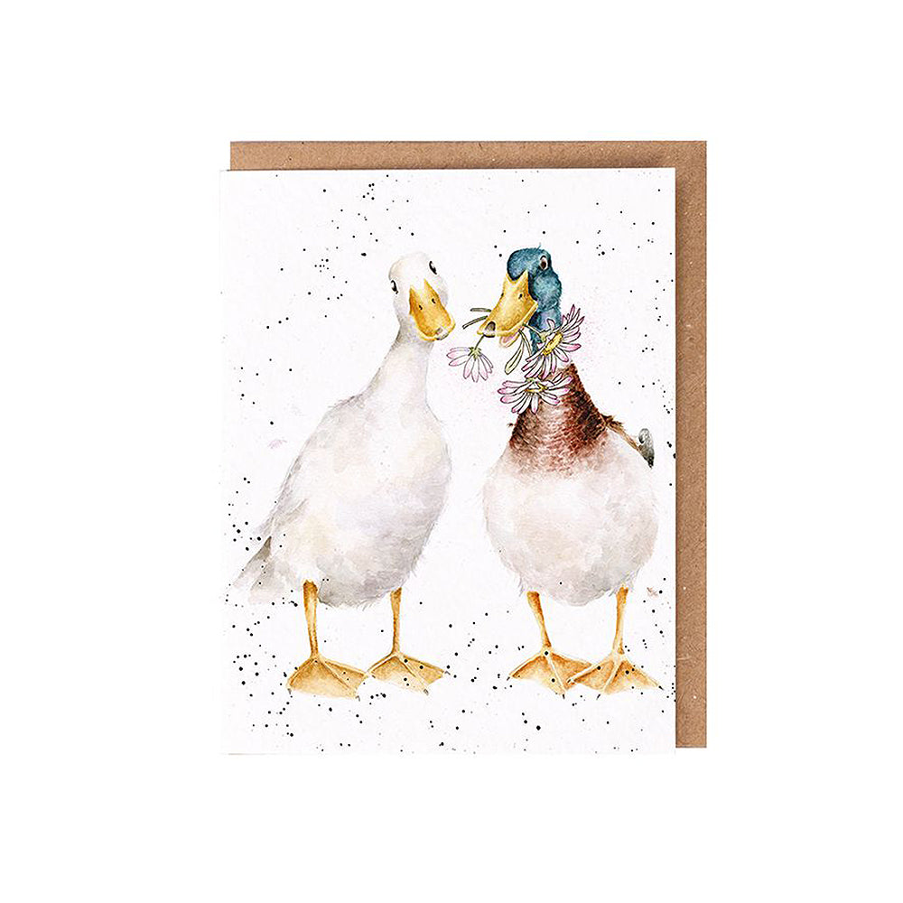 Ducks and Daisies | Blank Card & Wild Flower Seeds | 10.5x15cm | Wrendale Designs