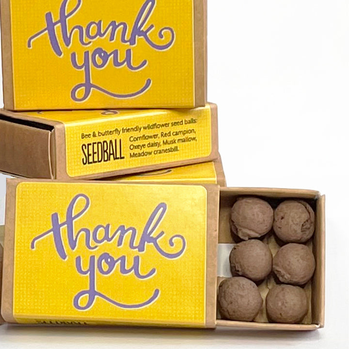 Thank You | Matchbox of 6 Seedballs | Cracker Filler | Mini Gift