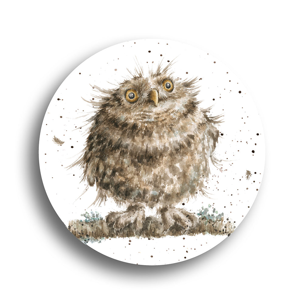 Single Owl Wrendale Designs Glass Domed Magnet | Cracker Filler Gift