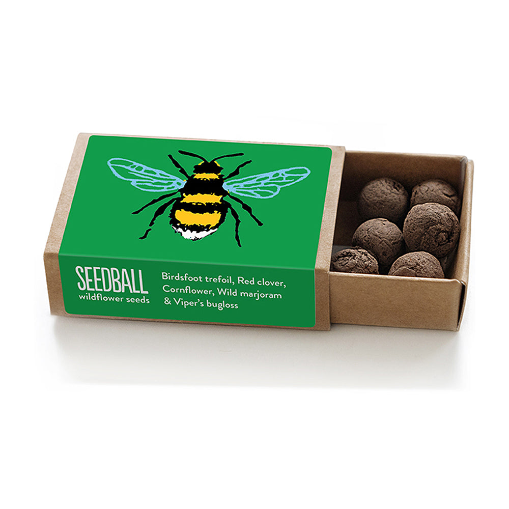 Bee Friendly Plants | Seedball Matchbox | Cracker Filler | Mini Gift