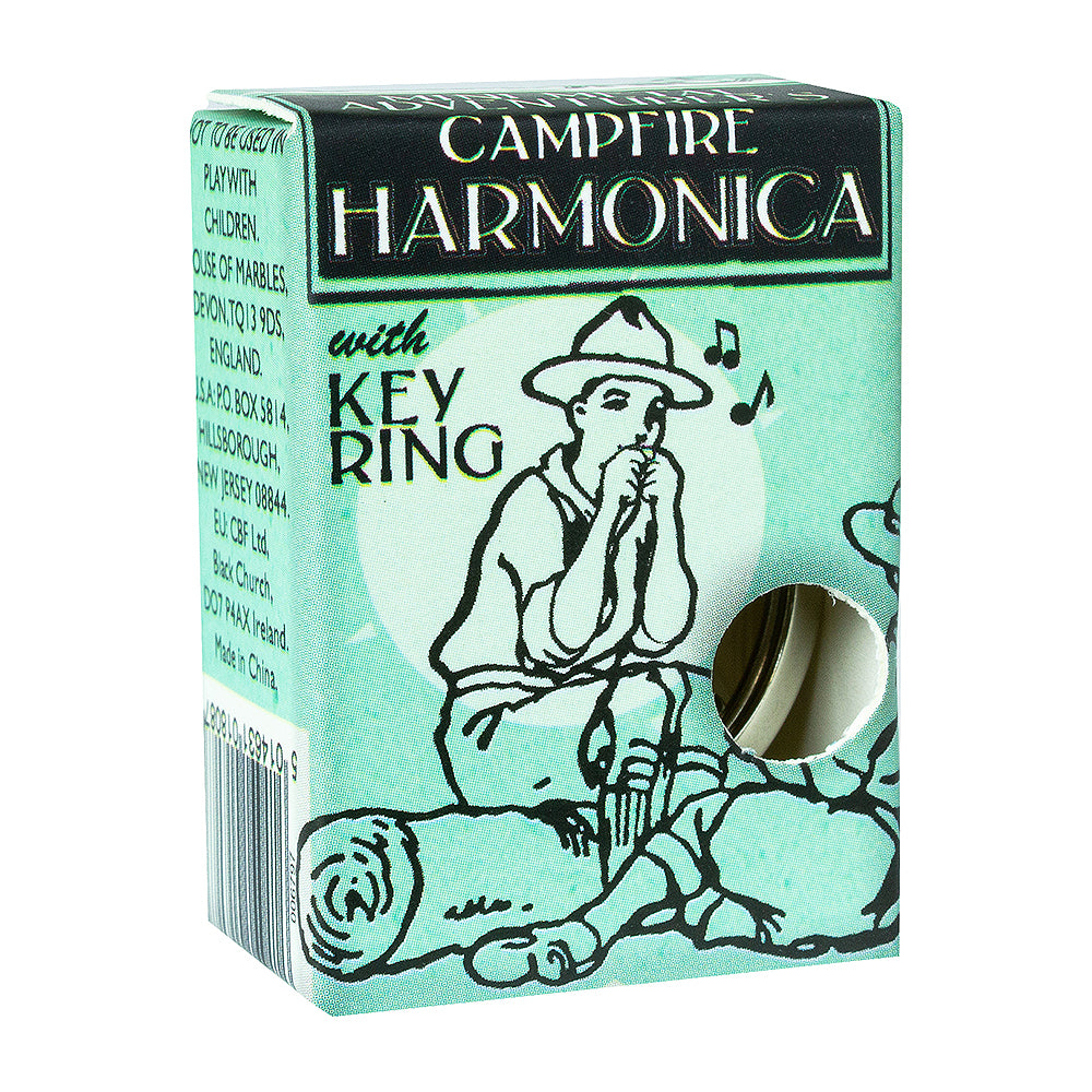 Mini Metal Harmonica Mouth Organ Keyring | Cracker Filler | Little Gift