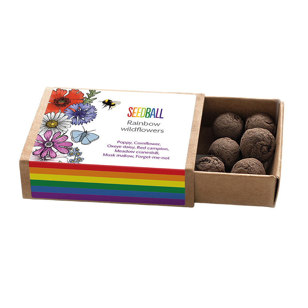 Rainbow Wildflowers | Seedball Matchbox | Cracker Filler | Mini Gift
