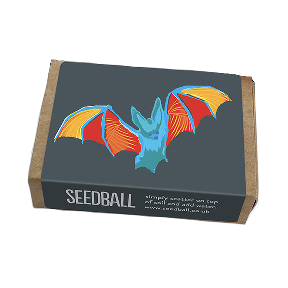 Bat Friendly Plants | Seedball Matchbox | Cracker Filler | Mini Gift