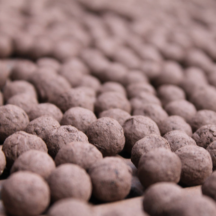 Thank You | Matchbox of 6 Seedballs | Cracker Filler | Mini Gift