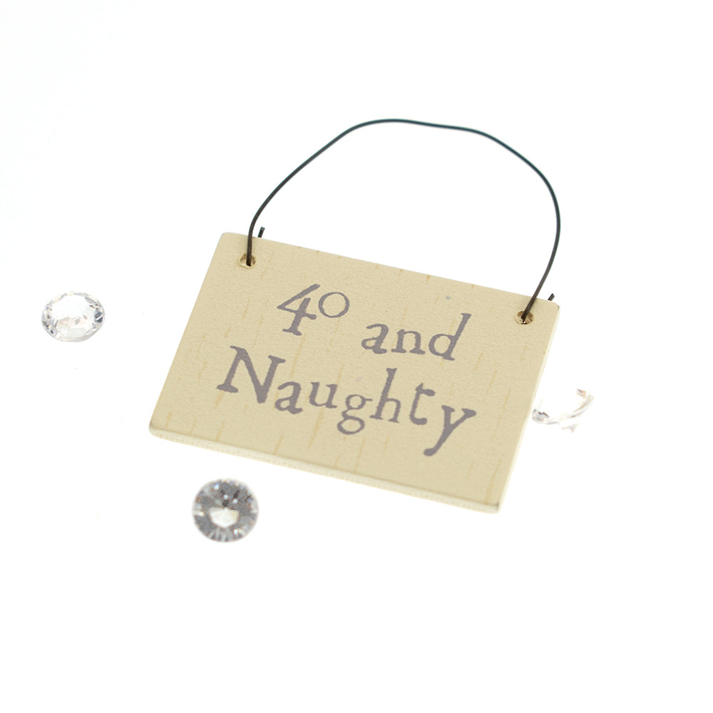 40 and Naughty Mini Plaque Hanger & Sparkles Bag | Cracker Filler | Mini Gift