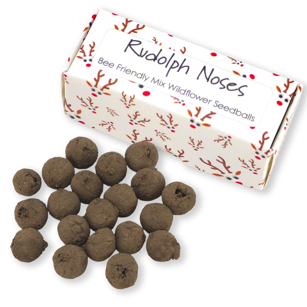Rudolph Noses | Box of 20 Bee Mix Seedballs | Cracker Filler | Little Gift