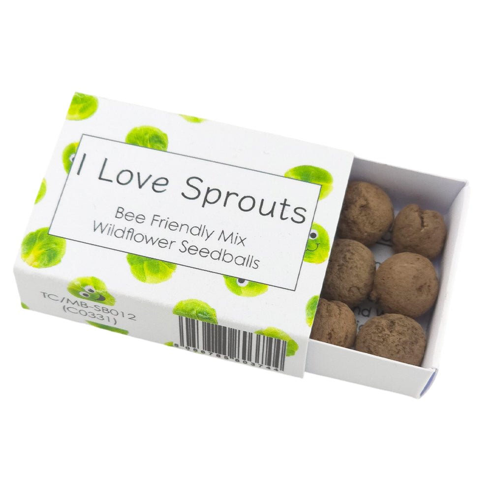 I Love Sprouts | 6 Seedball Matchbox | Bee Mix | Cracker Filler | Little Gift