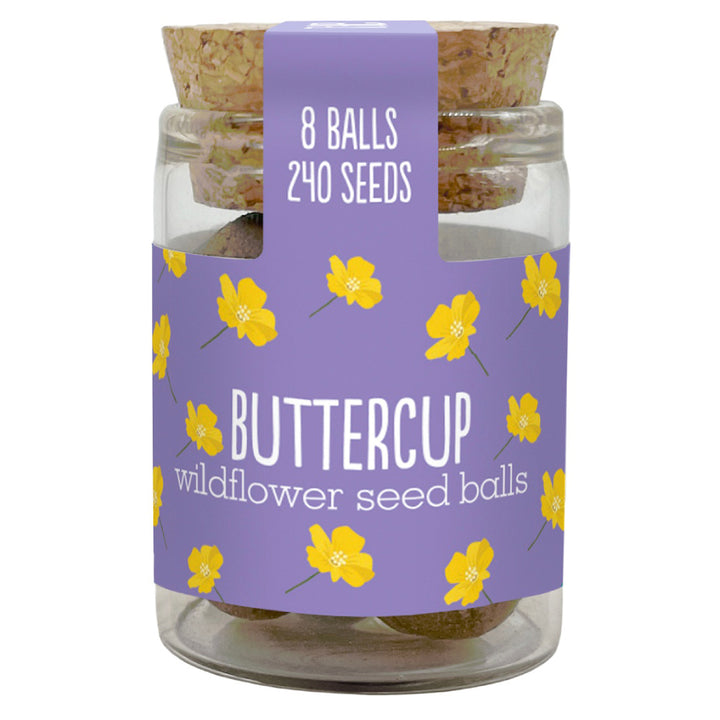 Gorgeous Wildflower Seed Ball Jar | 8 Balls | Cracker Filler | Little Gift