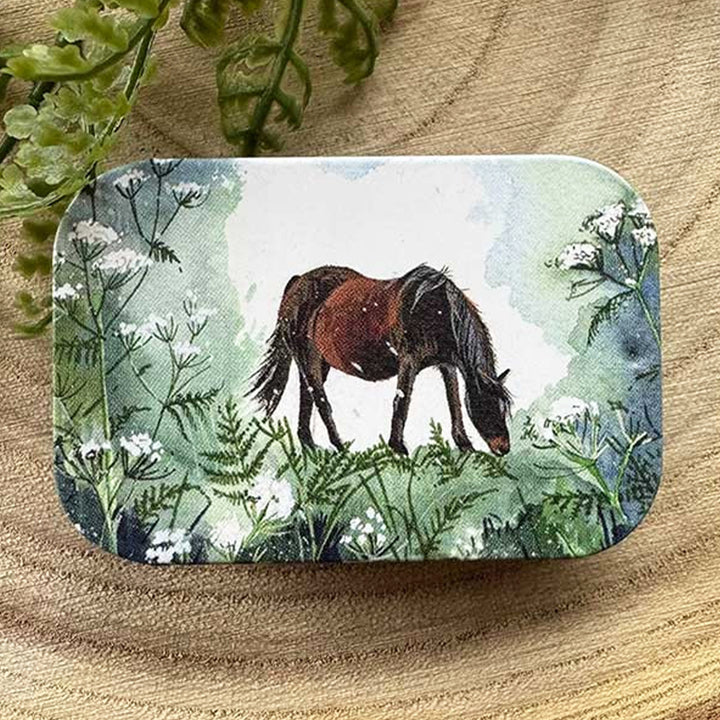 Grazing Horse | Little Slide Shut Tin to Fill | Mini Gift | Cracker Filler