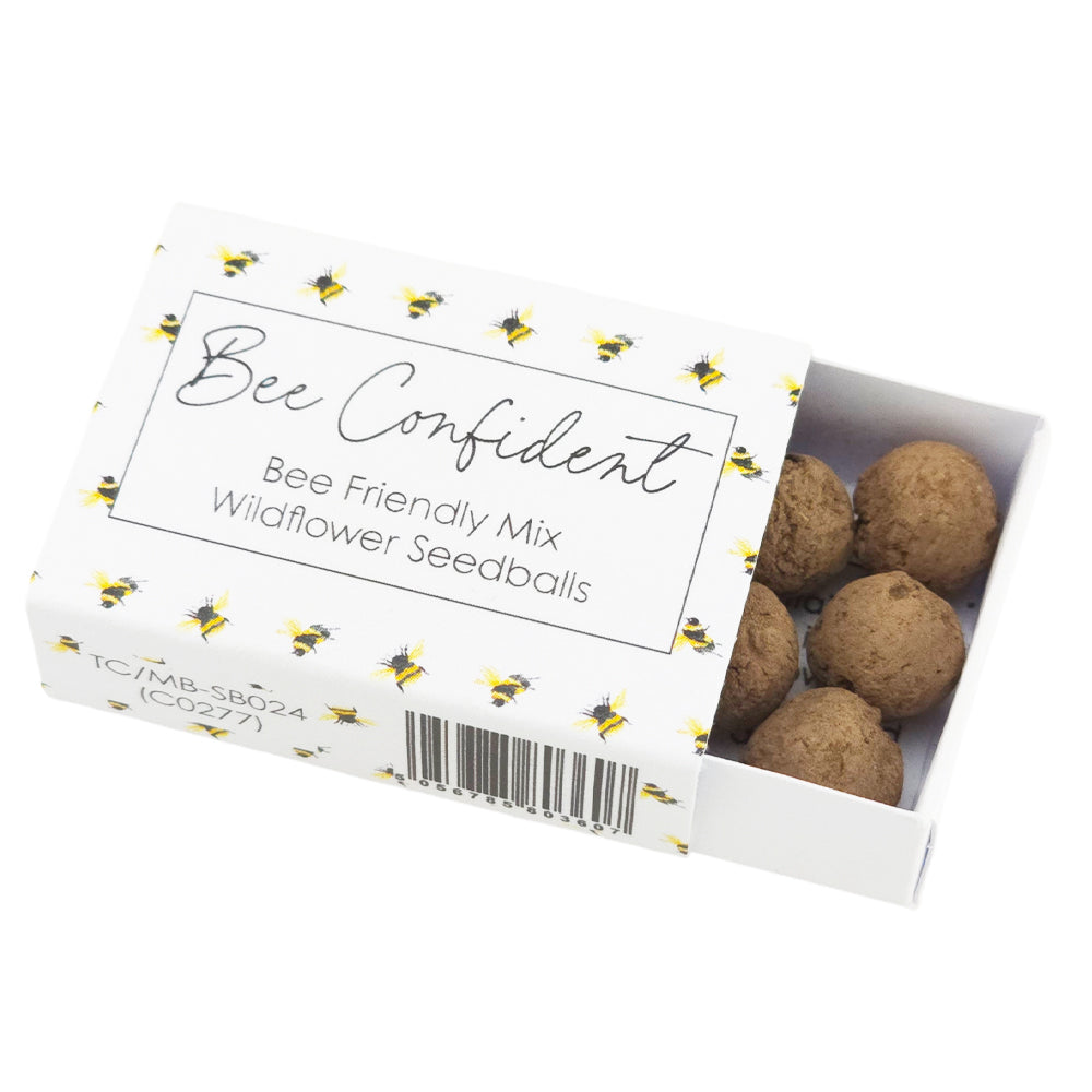 Bee Confident | Seedball Matchbox | Bee Mix | Cracker Filler | Little Gift