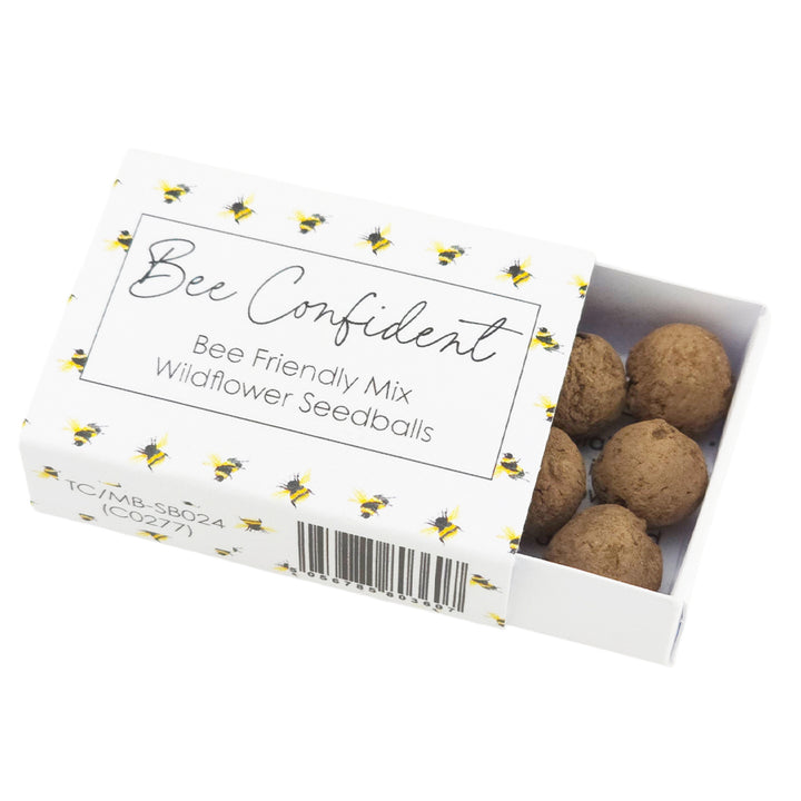 Bee Confident | Seedball Matchbox | Bee Mix | Cracker Filler | Little Gift