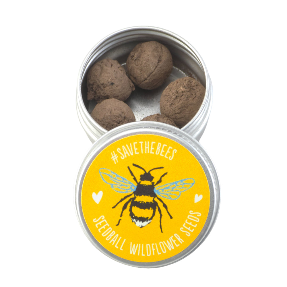 Save The Bees | Seedball Tin | Little Gift | Cracker Filler