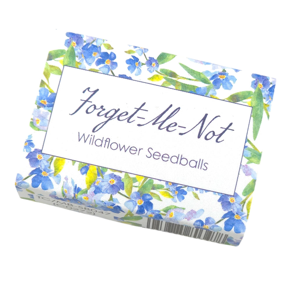 Watercolour Forget Me Not | Seedball Matchbox | Cracker Filler | Little Gift