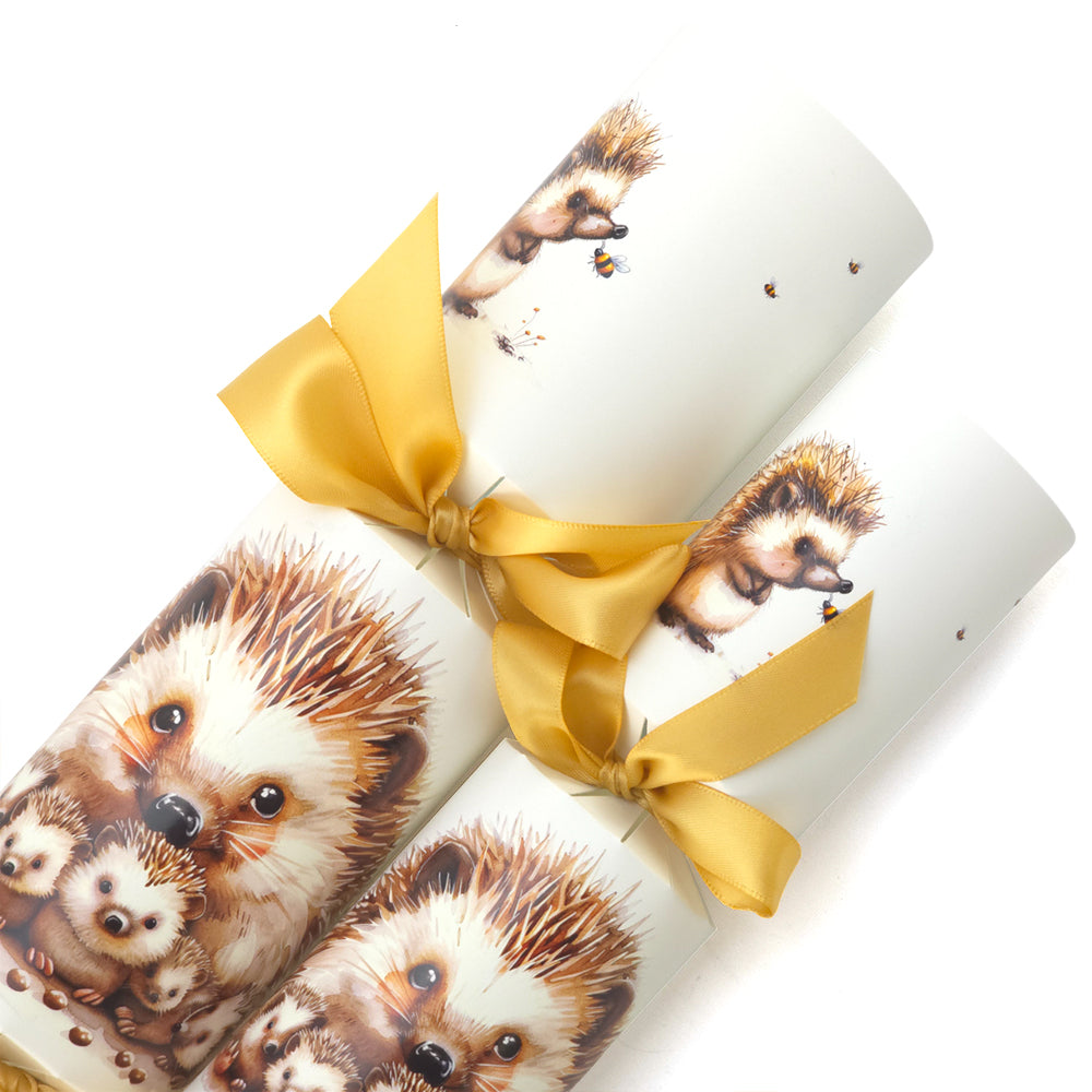 Hedgehog Family | Cracker Making Craft Kit | Make & Fill Your Own