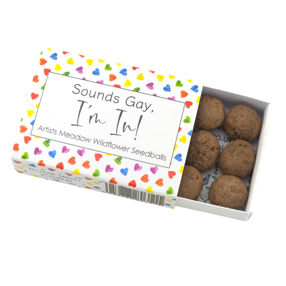 Sounds Gay, I'm In! | Artist Mix | Seedball Box | Cracker Filler | Little Gift
