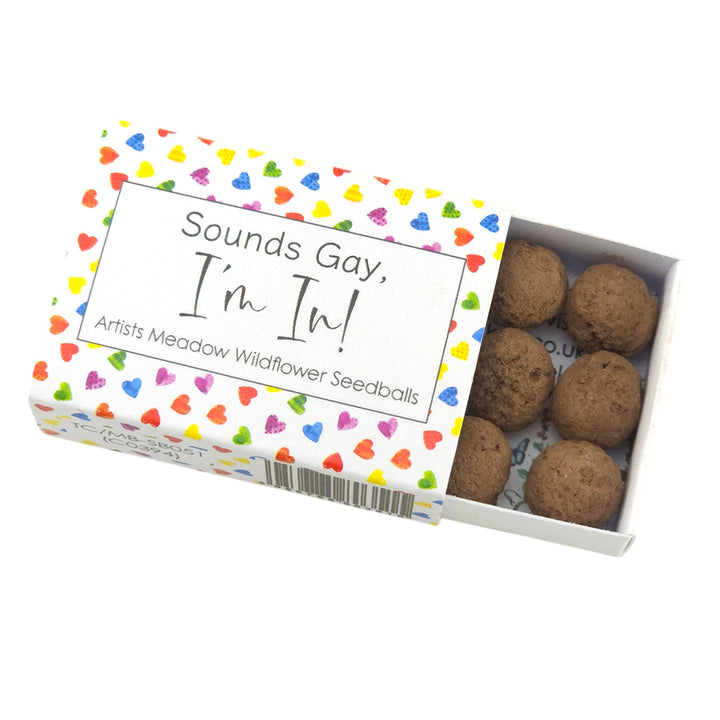 Sounds Gay, I'm In! | Artist Mix | Seedball Box | Cracker Filler | Little Gift