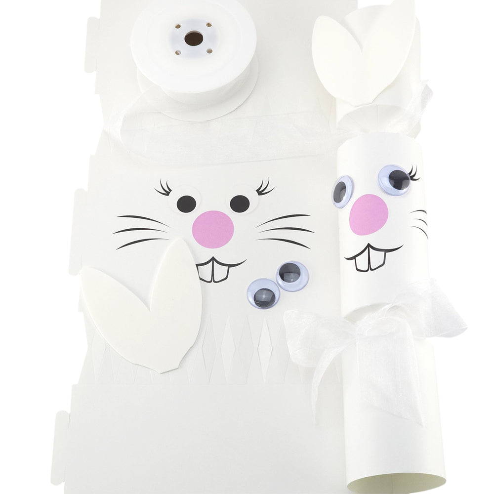 Stand Up Easter Bunny Cracker Making Craft Kit - Makes 6 | Make &amp; Fill Your Own