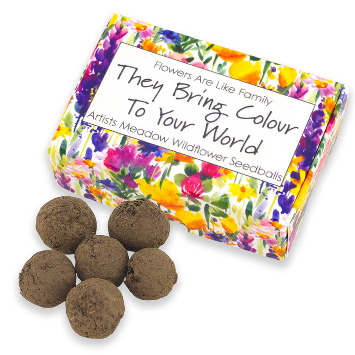 Flowers Are Like Family | Artist Mix | 6 Seedball Box | Cracker Filler Gift