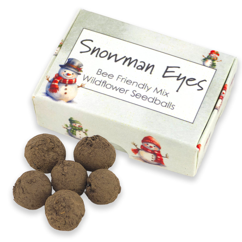 Snowman Eyes | 6 Seedball Matchbox | Bee Mix | Cracker Filler | Little Gift