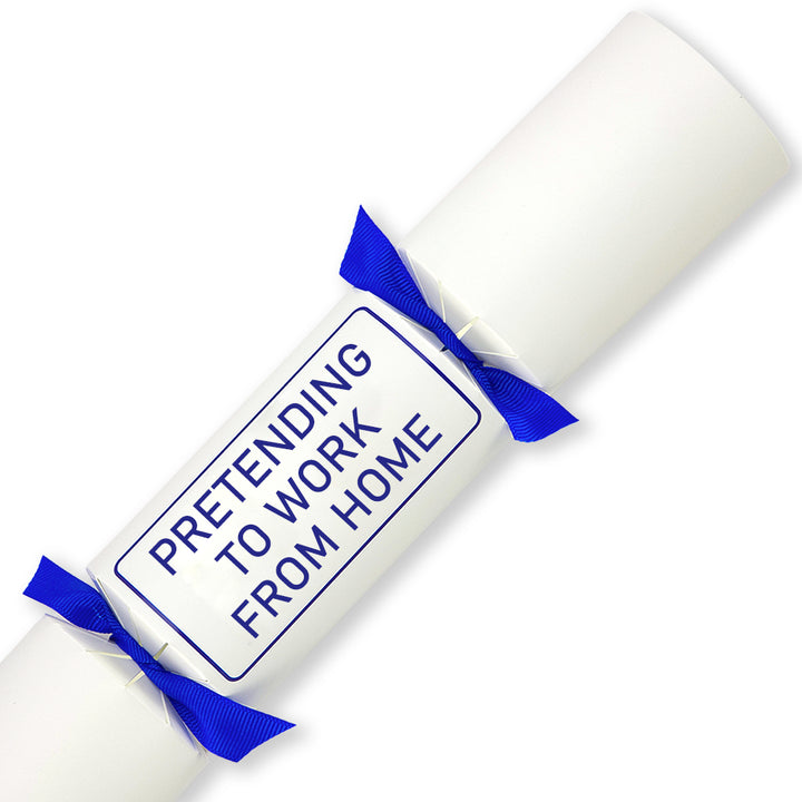 Pretending to Work from Home | Single Cracker Making Craft Kit | Office Banter