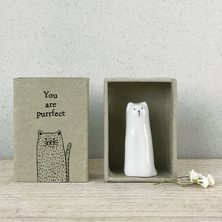 You are Purrfect | Ceramic Cat in a Matchbox | Cracker Filler | Little Gift