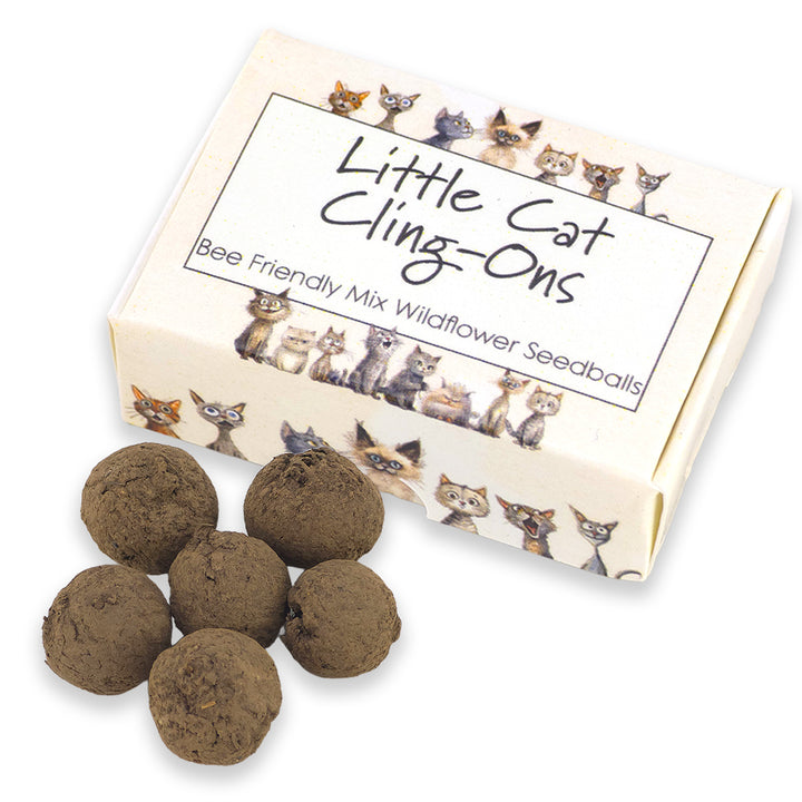 Little Cat Cling-Ons | 6 Seedball Matchbox | Bee Mix | Cracker Filler Gift